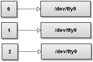 File descriptor table when bash first starts on tty0